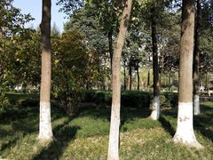 -沙河三洞古桥公园