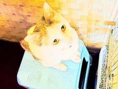 踅摸真人机械密室逃脱-Tipsy Bar•屋顶露台酒吧&水烟吧