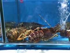 -港畔赶海蒸汽海鲜烧烤自助(仙螺岛店)