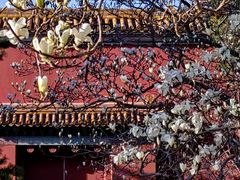 -北京市劳动人民文化宫(太庙)