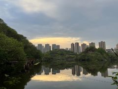 -重庆彩云湖湿地公园