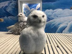 -成都浩海立方海洋公园