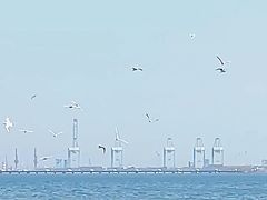 -金梦海湾浴场