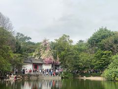 -深圳国际园林花卉博览园