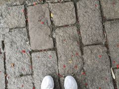 -龙潭水乡