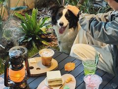 -J Create城市露营咖啡·简餐·宠物(上海动物园店)