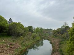 -八大山人梅湖景区