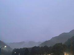 -龙坞茶村