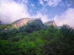 -青峰峡国家森林公园