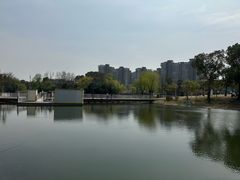 -新江湾城公园