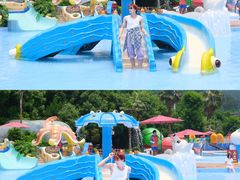-重庆海昌加勒比海水世界