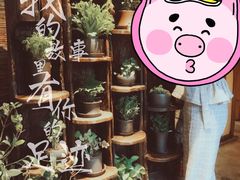 -慢丽江·云南野生菌土鸡锅(付家庄店)