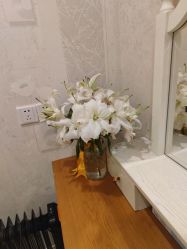 -Cocodemer产后恢复(杭大店)