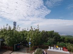 -东莞市大岭山森林公园