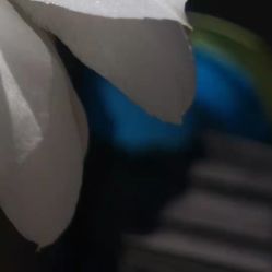 -凡碧诗毛孔收细