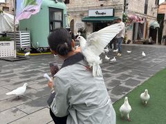 -华谊兄弟（长沙）电影小镇