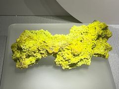 -湖南省地质博物馆