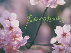 -杭州植物园