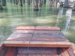 -渌洋湖湿地公园
