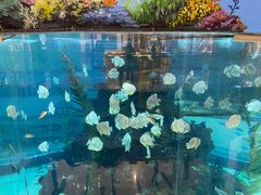 -野山舂·贵州现舂酸汤火锅(鸿通城店)