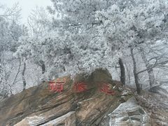 -沂蒙山旅游区龟蒙景区