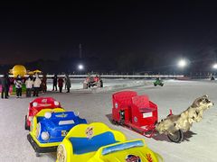 -长春市南湖公园