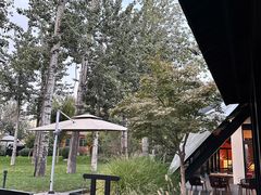 -禧宴Joyous Restaurant(禧园店)