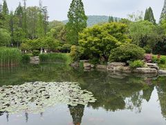-习家池