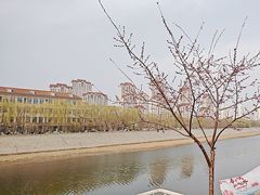 -桃花堤公园