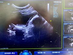 -爱侣宠医·鹦鹉专科·小型哺乳类·异宠专科(灵石路店)