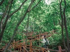 -大岭沟猕猴桃谷风景区