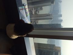 iphone_upload_pic-上海浦东丽思卡尔顿酒店