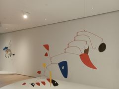 -旧金山现代艺术博物馆