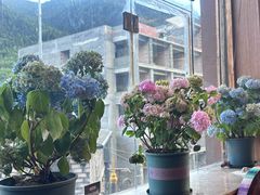 -四姑娘山阿巴郎·藏式花园餐厅