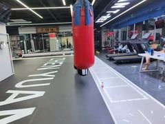 -臻元搏击格斗泰拳拳馆(港隆店)