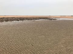 -刘家湾赶海园
