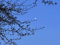 -东钱湖小普陀景区