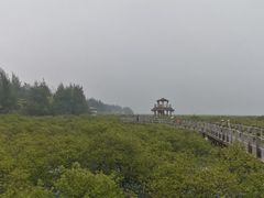 -北海金海湾红树林生态旅游区