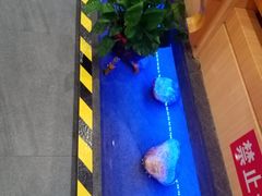 -九田家黑牛烤肉料理(衡百国际店)