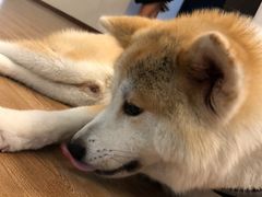 -YCHL Studios健身工作室(市二宫店)