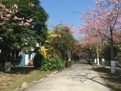 -广东花都香草世界旅游度假区