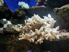 -乌鲁木齐海洋馆
