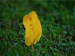 -叠溪松坪沟景区