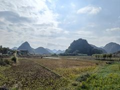 -夏雨路轩特色餐厅·十年经营
