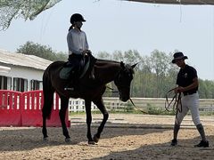-北京群众马术培训基地