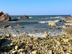 -养马岛旅游度假区