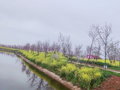 -武汉紫薇都市田园