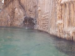 -仁爱团泊湖温泉中心