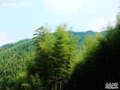 -山沟沟景区