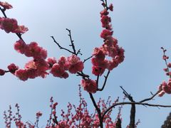 -老门东历史文化街区